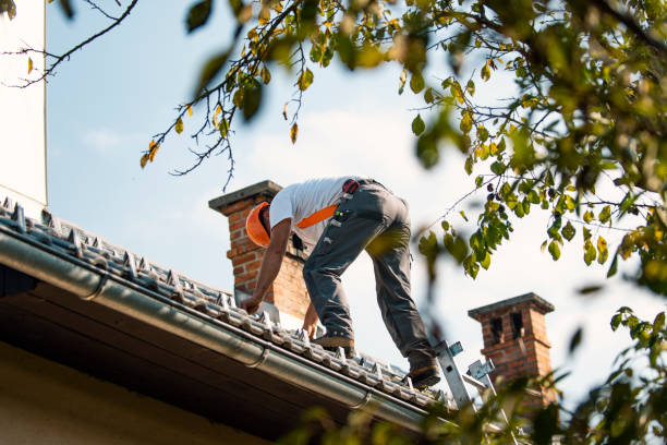 Best Roof Restoration Services  in Harrodsburg, KY