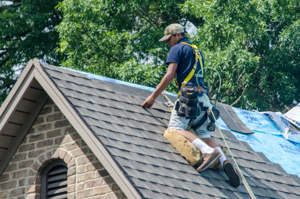 Best Roofing Contractor Near Me  in Harrodsburg, KY